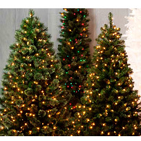 Натуральные елки