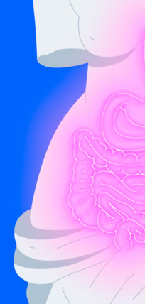 Как правильно питаться